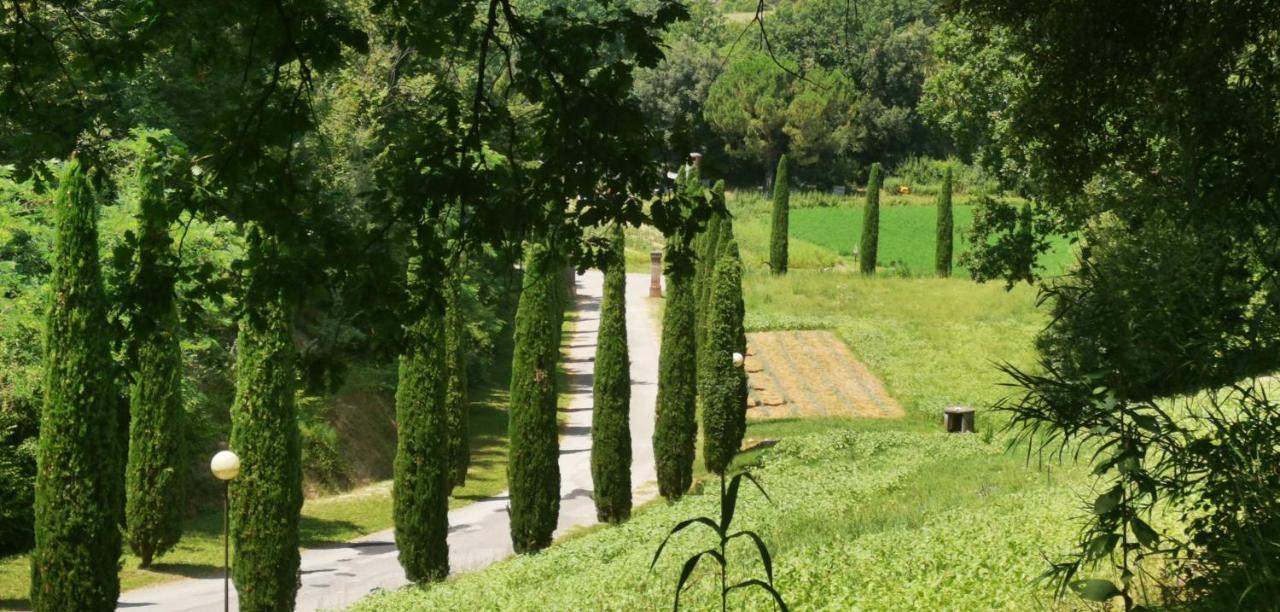 Agriturismo Cascina Cipressa San Romano  Esterno foto
