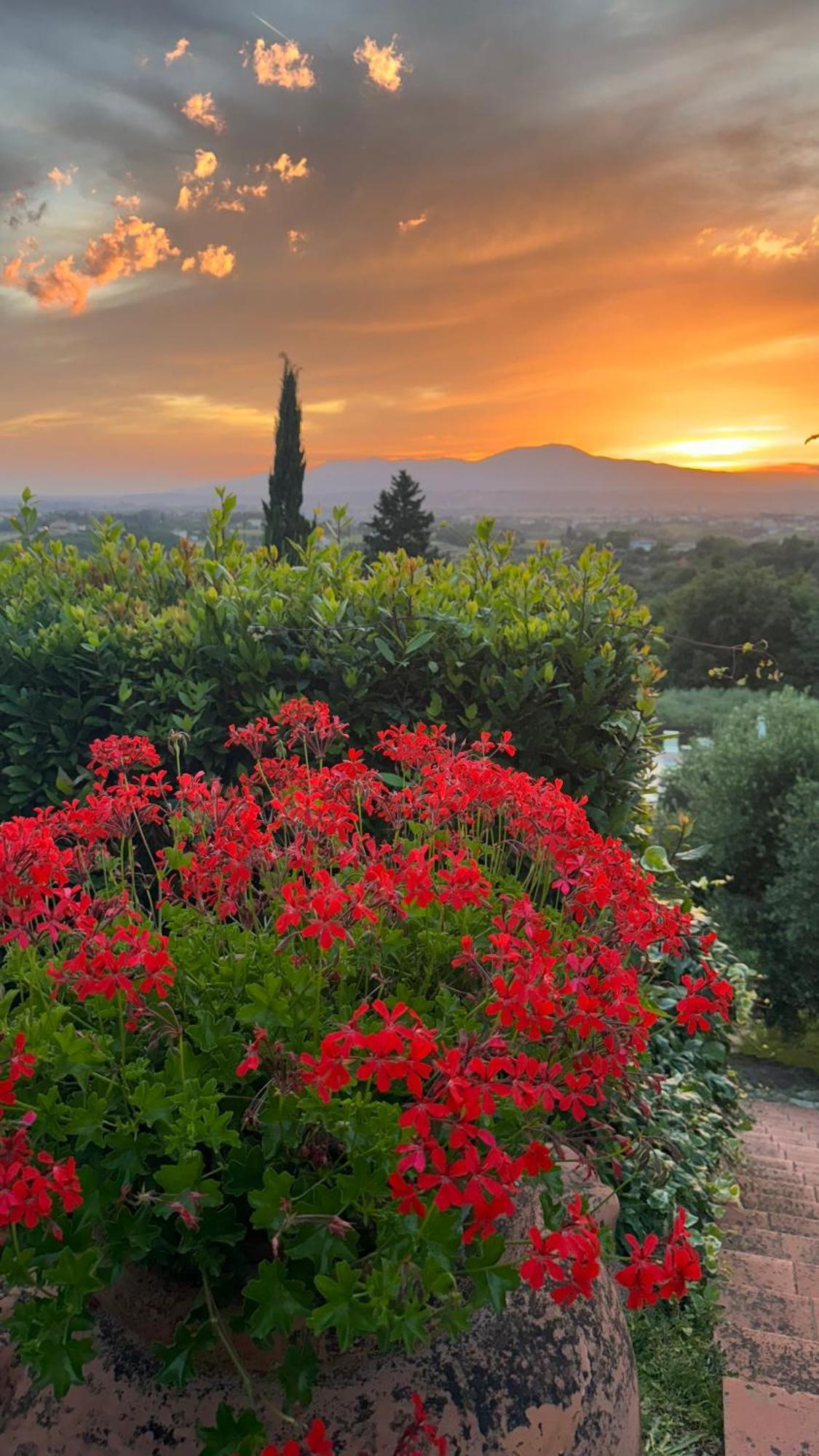 Agriturismo Cascina Cipressa San Romano  Esterno foto