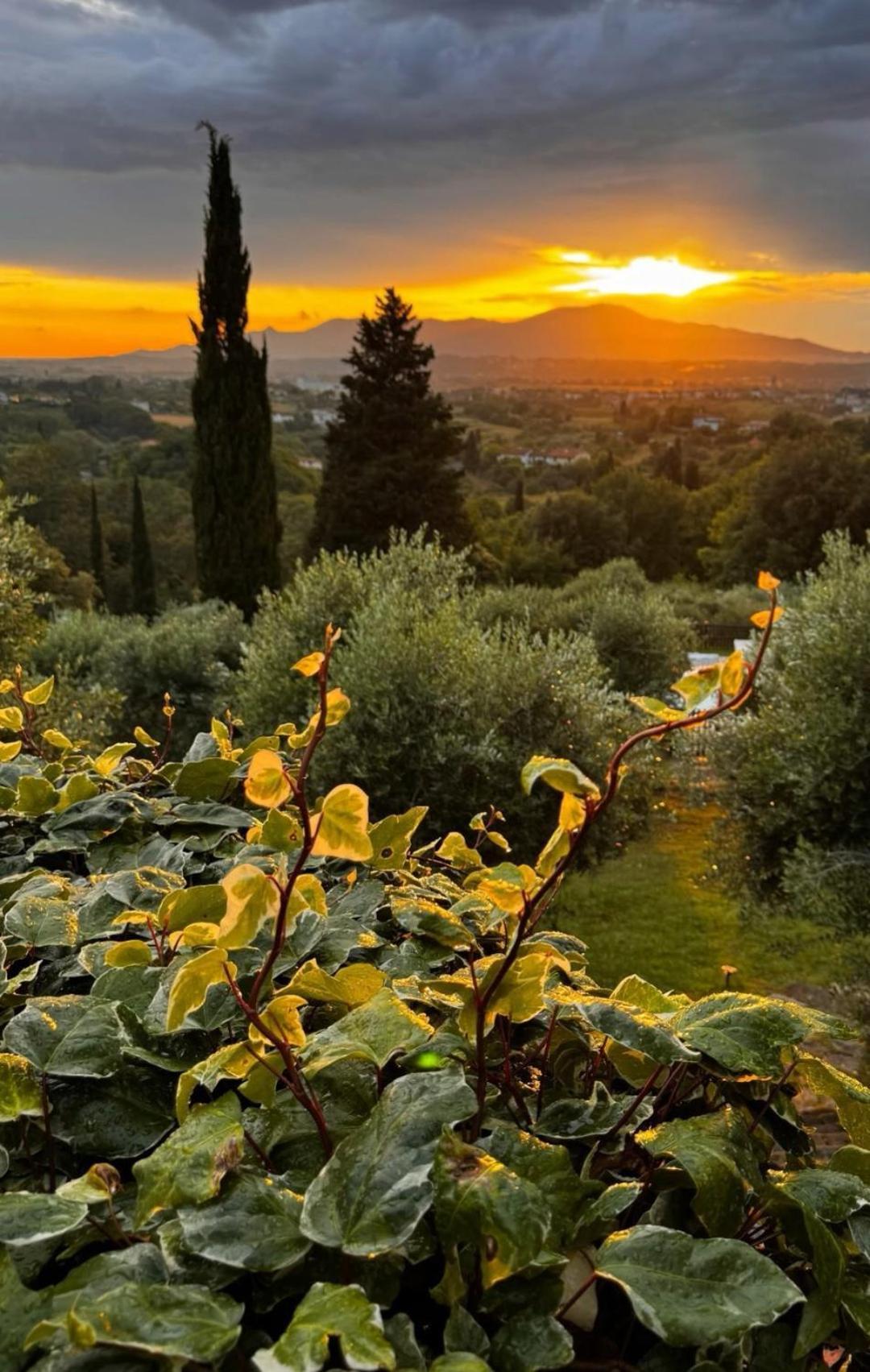 Agriturismo Cascina Cipressa San Romano  Esterno foto