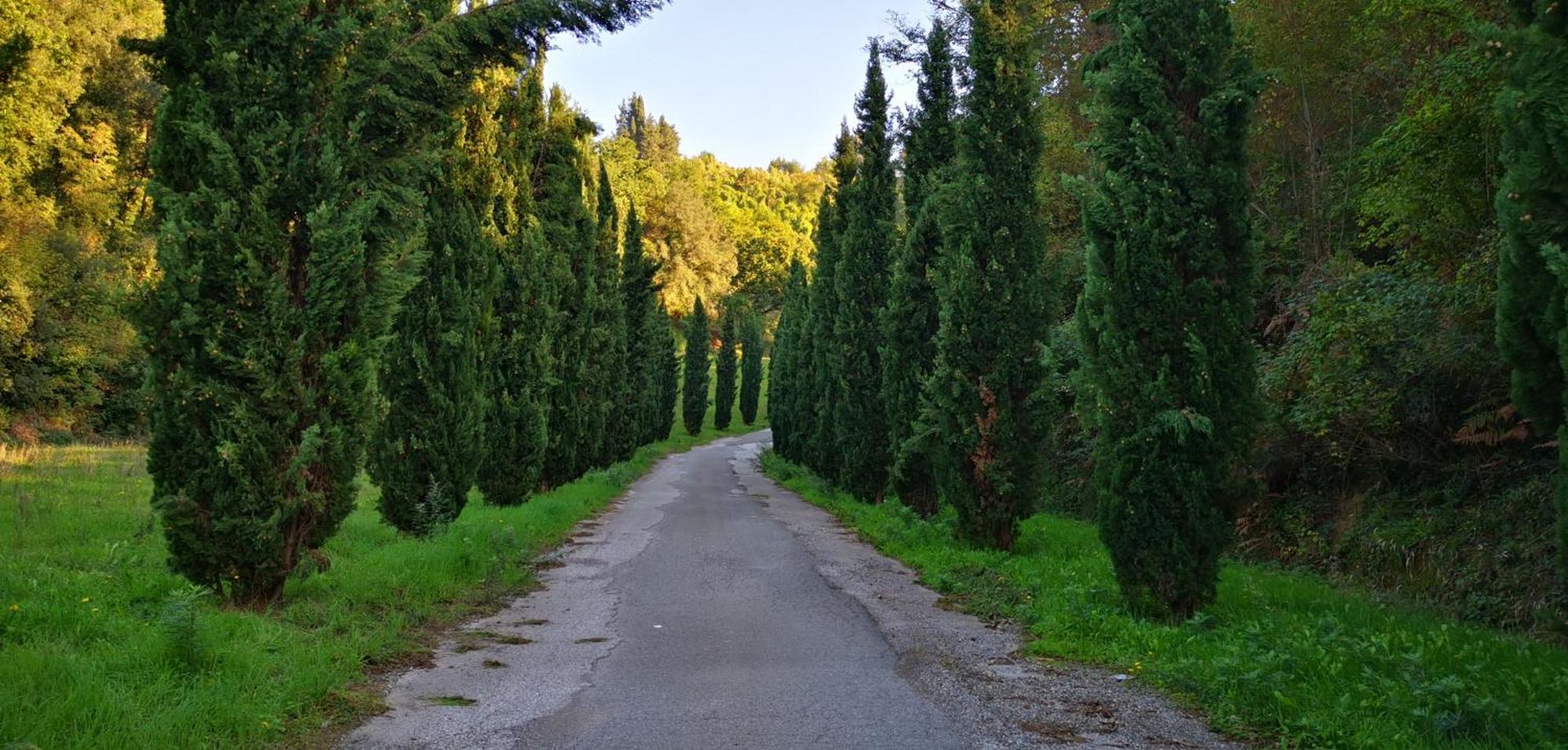 Agriturismo Cascina Cipressa San Romano  Esterno foto